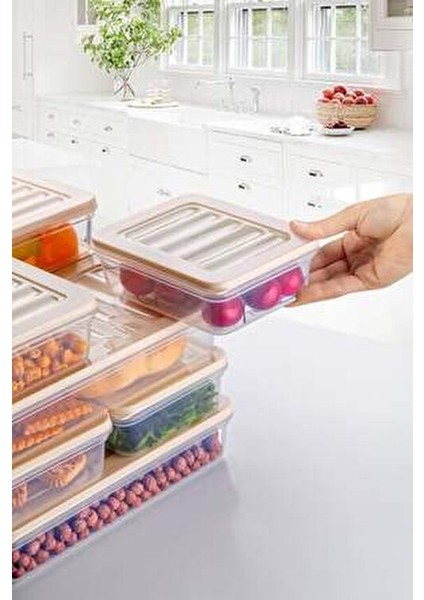 4'lü Set Freshbox Mikrodalga ve Difrize Uygun Saklama Kabı modelleri