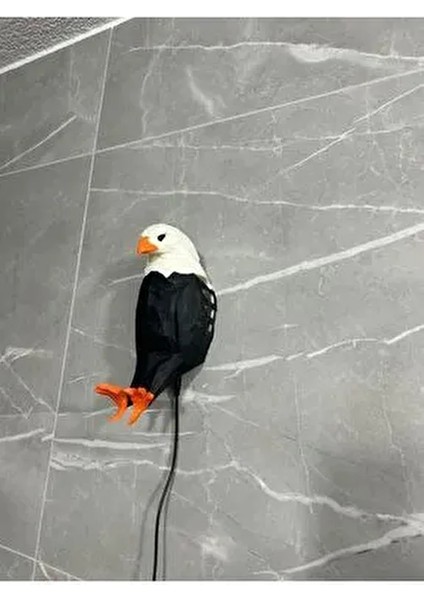 Kartal Gece Lambası fiyatları