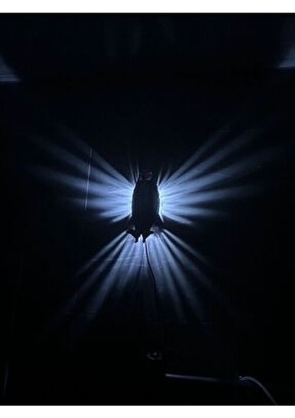 Kartal Gece Lambası modelleri