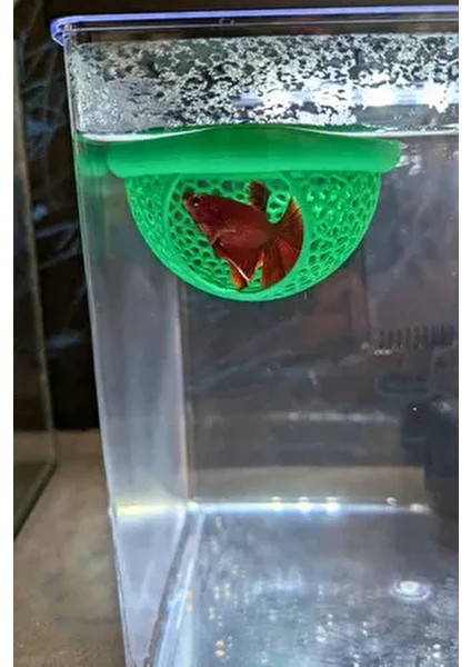 Beta Saklanma Evi ve Yumurta Saklama Alanı Beta Yüzer Mağara 9 cm Akvaryum Dekoru Mavi