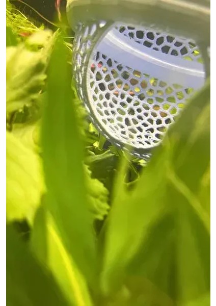 Beta Saklanma Evi ve Yumurta Saklama Alanı Beta Yüzer Mağara 9 cm Akvaryum Dekoru Mavi fiyatları