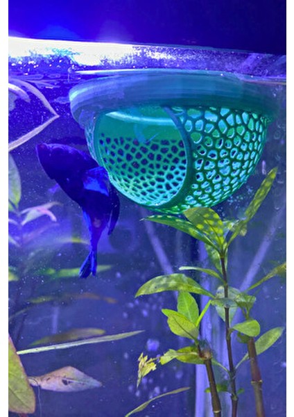 Beta Saklanma Evi ve Yumurta Saklama Alanı Beta Yüzer Mağara 9 cm Akvaryum Dekoru Mavi fırsatları