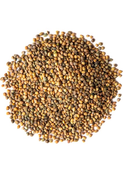 Altılı Yeşillik Tohum Seti, Dereotu, Semizotu, Roka, Tere, Kuzukulağı ve Maydanoz