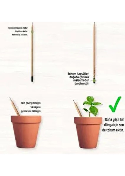 Efsane Atıştırmalık Paketi No:24 Parça. Tohumlu Kalem Hediyeli modelleri