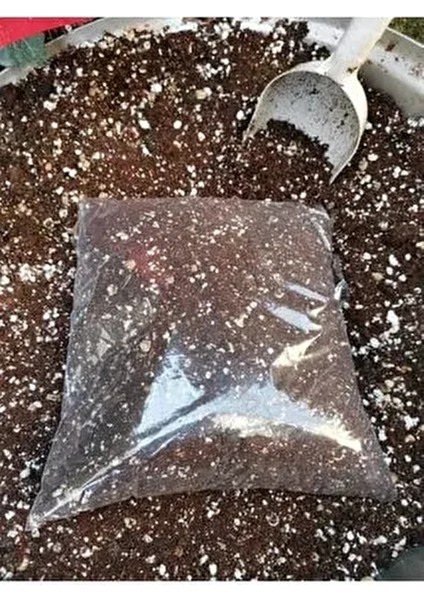 Kaktüs Topragı Çok Özel Kaışım Garanti Içeriktir Taş Kaktüs Lithops Aloe Vera 4 Litre