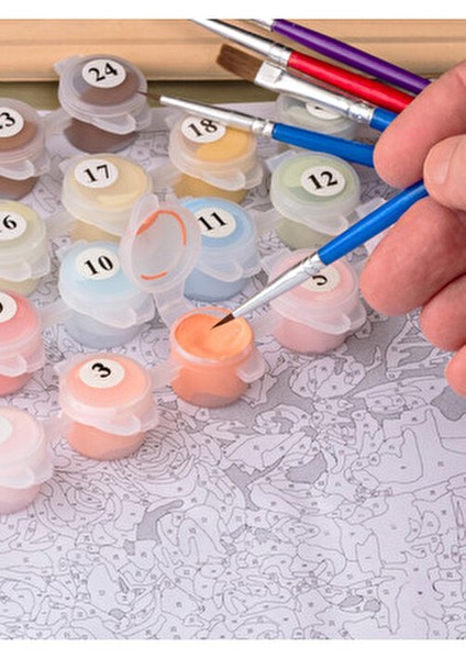 Hobi Sanat Papatya Sayılarla Boyama Tuval Seti Fırça ve Boya Dahil 40x50 cm Çıtalı Özellikli