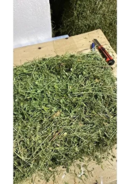 Yonca Kuru Kemirgen Otu 2 kg Bol Çiçekli