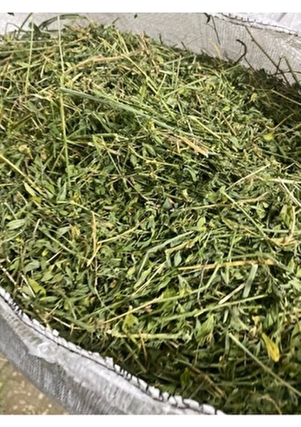 Yonca Kuru Kemirgen Otu 2 kg Bol Çiçekli modelleri