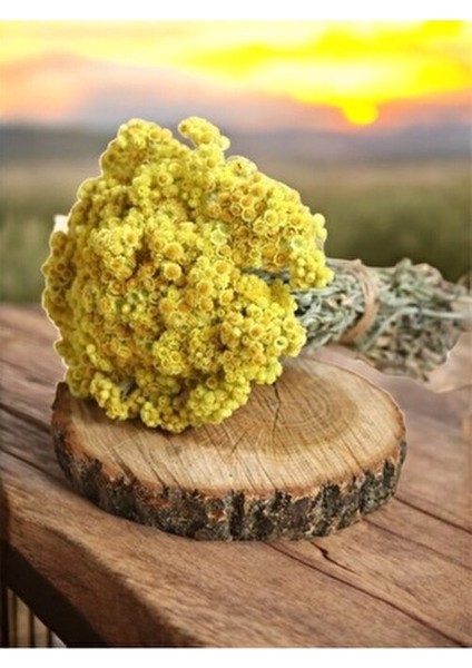 Altın Otu Damla Golden Pro Dede 30 ml Katkısız Altın Otu Özlü Ürün