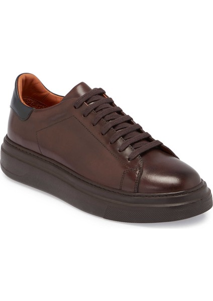 Taba Hakiki Deri Erkek Sneaker - E24S1AY57067-A37