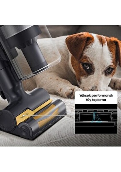 Vaccum Drmz Jet 85 Şarjlı Dikey Süpürge, 210W Emiş Gücü, Dijital Invertör Motor,0.8 Litre,led Işıklı fırsatları