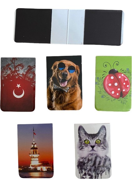 5 Adet Mıknatıslı Kitap Ayracı 5