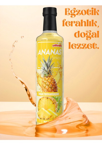 Ananas Sirkesi x 3 Adet 525ML fiyatları
