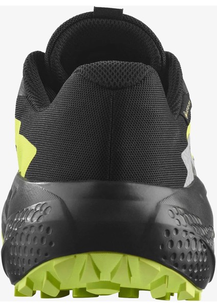 Alphaglıde Gore-Tex Erkek Koşu Ayakkabısı Black L47802000 indirimleri