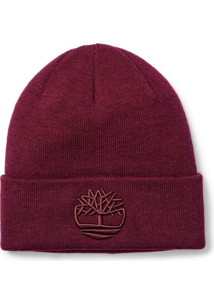3D Embroidery Beanie Erkek Bere TB0A65HP6481