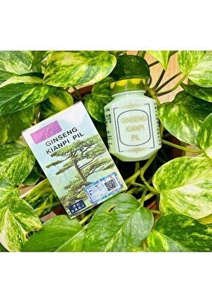 Wisdom Ginseng Kianpi Pil Karbonhidrat Yardımcısı 60 Caps Qr Check Kod Garantili (Weight Gain)