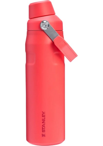 The Iceflow Bottle Fast Flow 0.7l Su Şişesi Termosu 10-11287-330 modelleri
