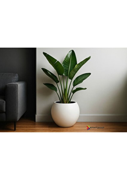 Küre Saksı Yuvarlak Saksı Modern Dekoratif Iç Hazneli Plastik 27 Litre Beyaz Renk modelleri