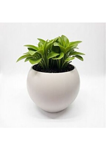 Küre Saksı Yuvarlak Saksı Modern Dekoratif Iç Hazneli Plastik 27 Litre Beyaz Renk indirimleri