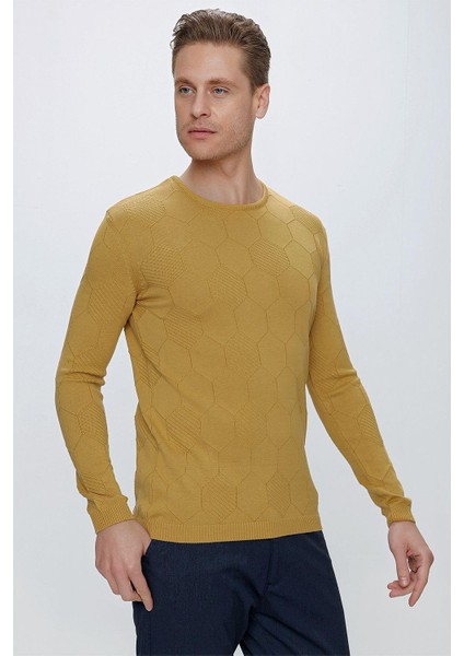 Tr 853 Slim Fit Hardal Klasik Triko