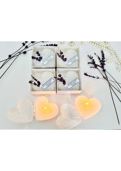 Kalp Istiridye Mum fiyatları