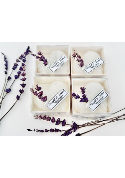 Kalp Istiridye Mum modelleri