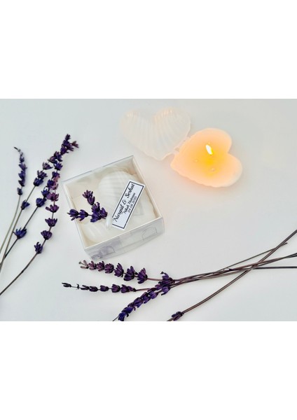 Kalp Istiridye Mum fırsatları