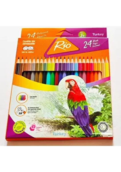 24'lü Fatih Rio Tam Boy Kuru Boya Kalemi Ahşap Malzeme ile Parlak Renkler