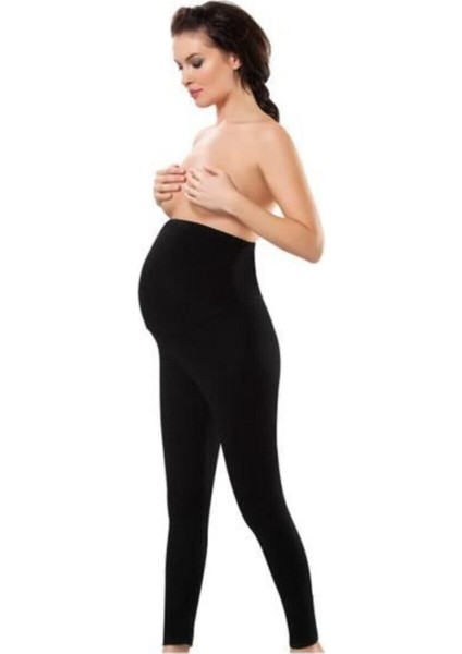 Sistina Hamile Taytı 560 fiyatları