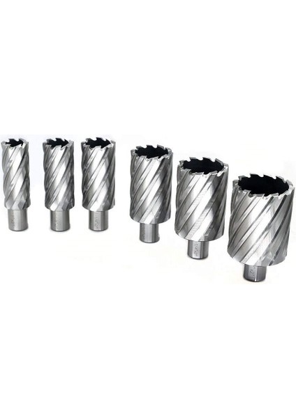 17 mm Weldon Sap Manyetik Matkap Ucu 55 mm Derinlik