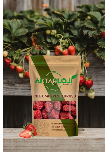 Organik Sertifikalı Türkiye Menşeli Doğal ve Katkısız Çilek Kurusu 25 g – Sağlıklı Atıştırmalık fiyatları