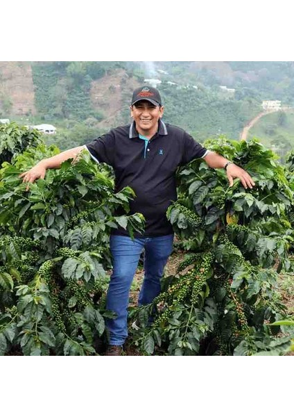 Colombia El Progreso Carbonic Maceration fiyatları