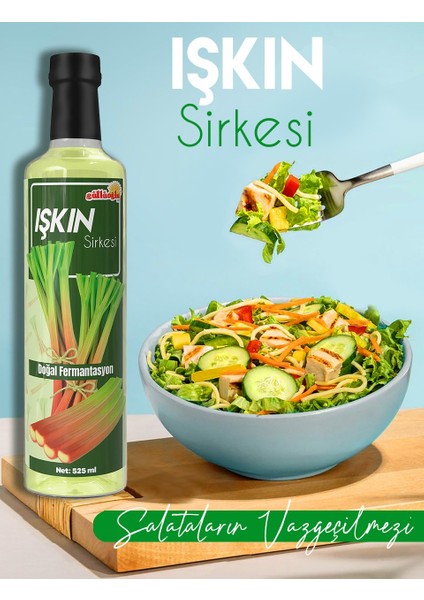 Işkın Sirkesi x 2 Adet 525ML modelleri