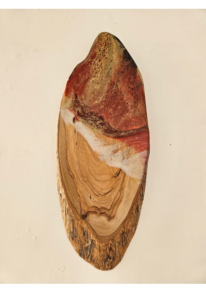 Sunumluk fırsatları