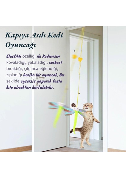 Çıngıraklı Kedi Oyun Oltası Ipli Elastik Kelebek Model Kapıya Yapışan Kedi Oyuncağı fırsatları