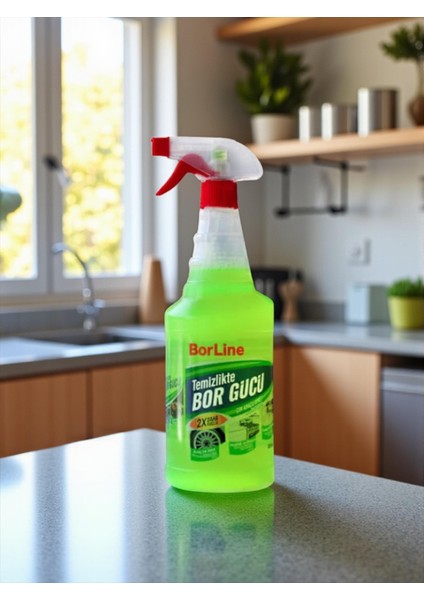 Borgücü Çok Amaçlı Genel Temizlik 1000ML 1 Adet fiyatları