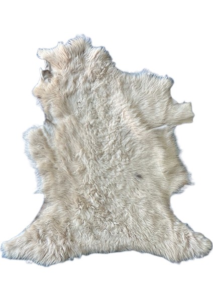 Gerçek Uzun Tüylü Koyun Postu - Naturel Uzun Tüylü Koyun Postu - Doğal Post Paspasde fiyatları