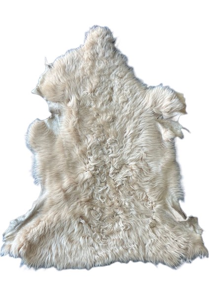 Gerçek Uzun Tüylü Koyun Postu - Naturel Uzun Tüylü Koyun Postu - Doğal Post Paspasde fırsatları