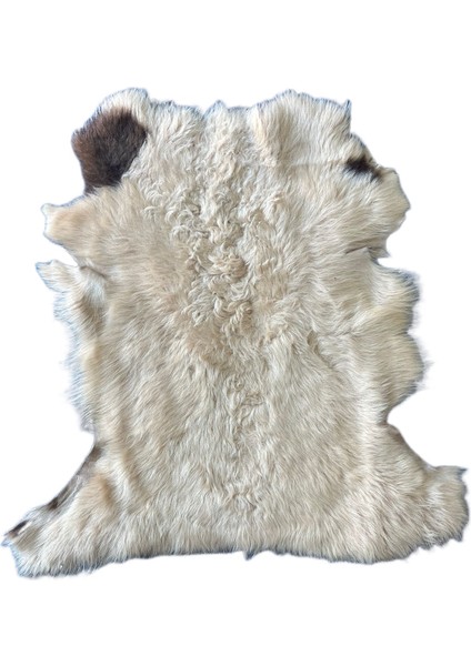 Gerçek Uzun Tüylü Koyun Postu - Naturel Uzun Tüylü Koyun Postu - Doğal Post Paspasde indirimleri