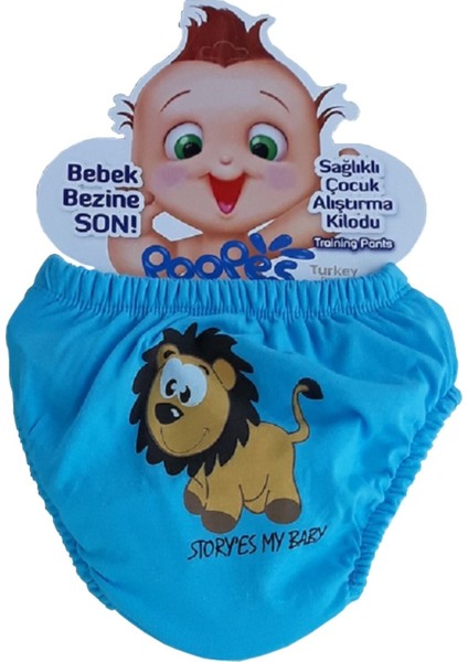 3'lü Erkek Bebek Alıştırma Külodu modelleri