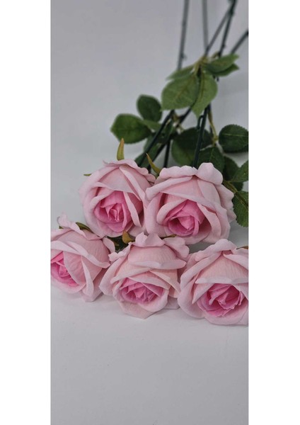 Yapay Kadife Gül 5 Adet Açık Pembe 50 cm Vazodekor Gelin Çiçeği Ev Süsü fiyatları