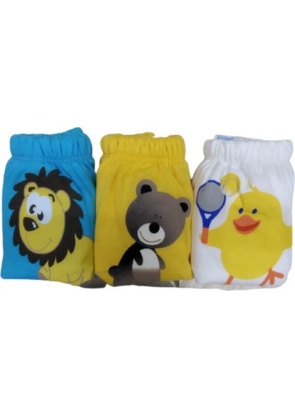 3 Lü Erkek Çocuk Alıştırma Külodu fiyatları