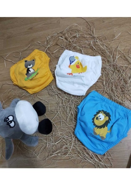 Erkek Bebek Sevimli 3'lü Alıştırma Külodu