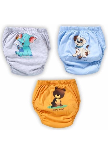 Erkek Çocuk Pamuk Alıştırma Külodu 3'lü