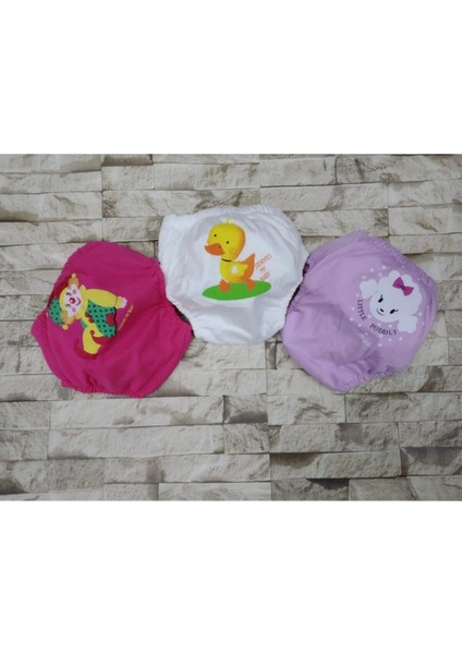 3 Lü Kız Çocuk Alıştırma Külodu