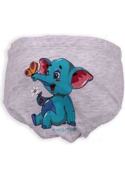 Unisex Bebek Gri Alıştırma Külodu fiyatları