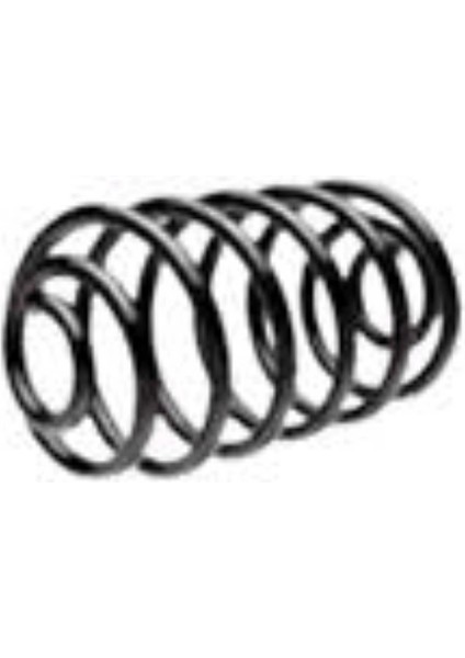 Volkswagen Passat Tıguan Superb Bm 04 ve Sonrası Uyumlu Helezon Arka 3C0511115AC Wısco