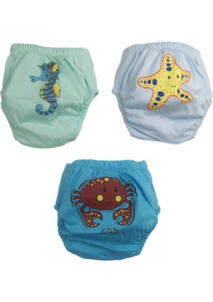 Erkek Bebek Alıştırma Külodu 3'lü