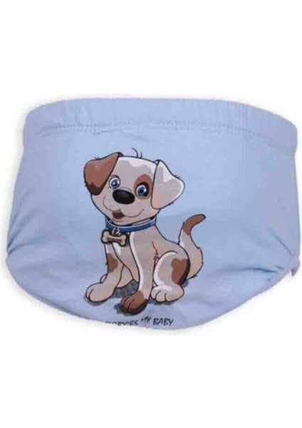 Bebek Alıştırma Külodu | Bebe Mavi fiyatları