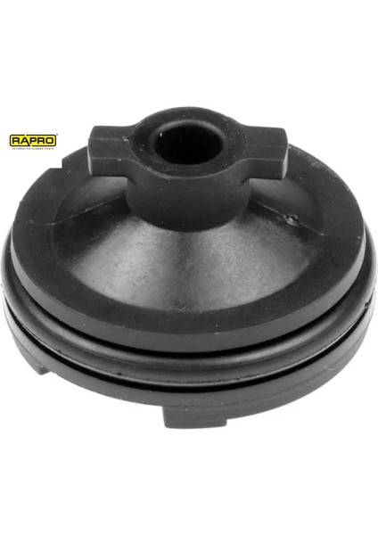 Yag Tapasi DW10FC Traveller-Expert 4 Rapro 9801444780/ 9801444980/ 1616854180 R54868
